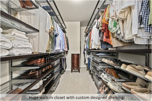 walk in closet featuring carpet floors