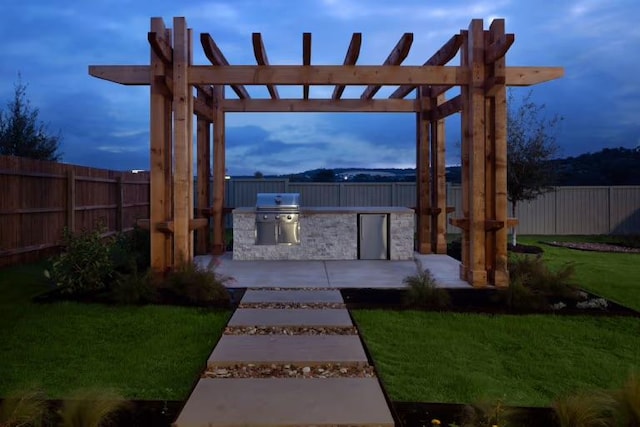 view of yard featuring a patio, area for grilling, and a fenced backyard