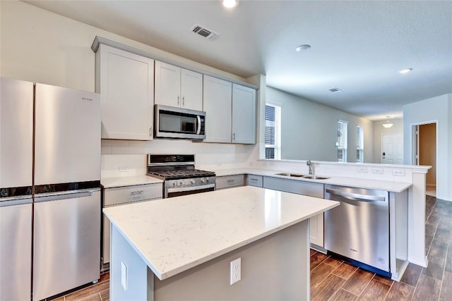 kitchen with a peninsula, stainless steel appliances, wood tiled floor, and a sink