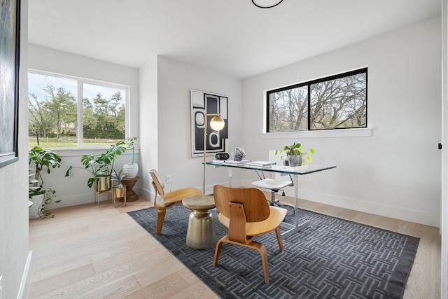 office with baseboards and wood finished floors