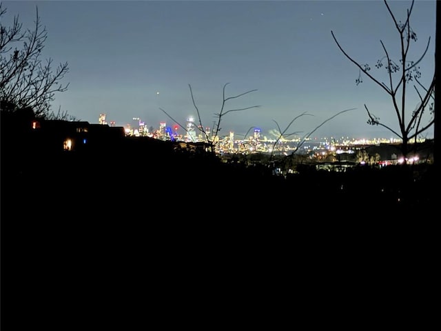 1209 Lost Creek Blvd, Austin, TX 78746 - view of yard