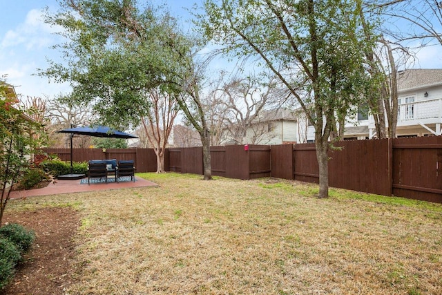 view of yard featuring a fenced backyard and a patio