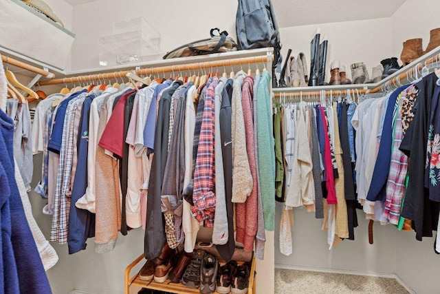 view of spacious closet