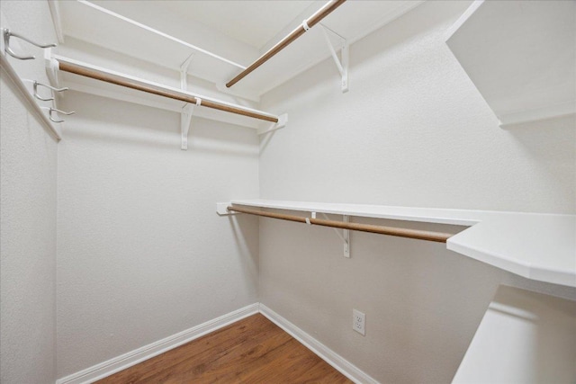 spacious closet featuring wood finished floors