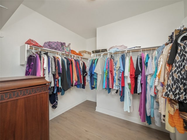 spacious closet featuring wood finished floors