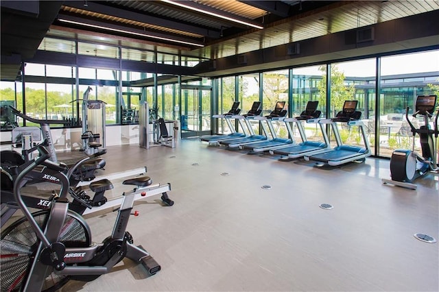 7902 Sutcliffe Dr, Austin, TX 78744 - gym with floor to ceiling windows
