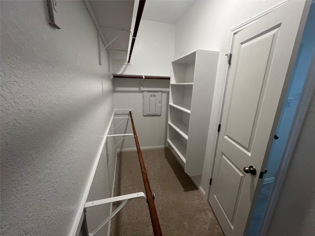 walk in closet with carpet