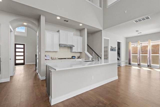 kitchen with dark wood finished floors, visible vents, a healthy amount of sunlight, and a sink