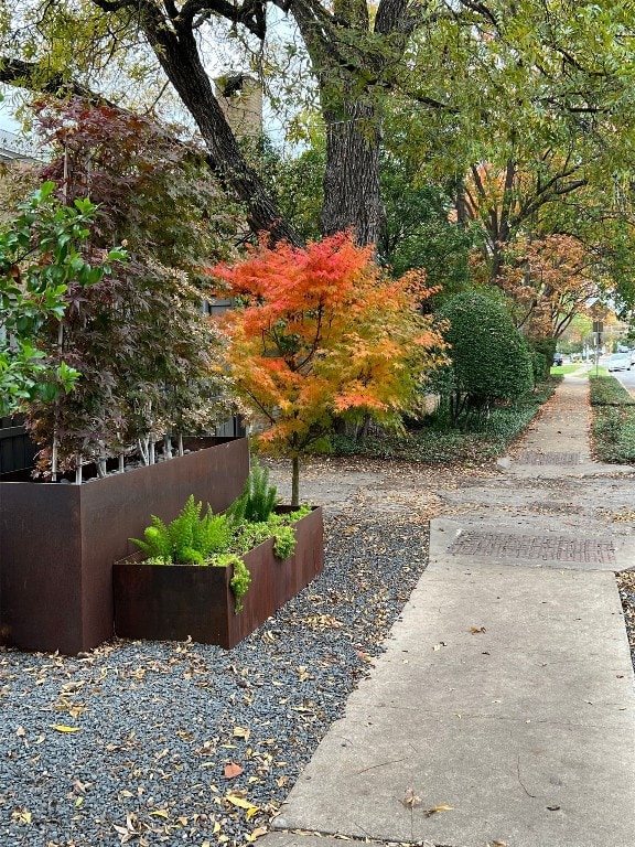 view of yard featuring a vegetable garden and fence