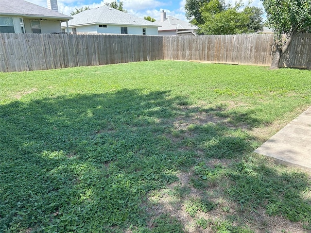304 Watergate Way, Hutto, TX 78634 - view of yard with a fenced backyard