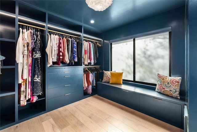 spacious closet featuring wood finished floors