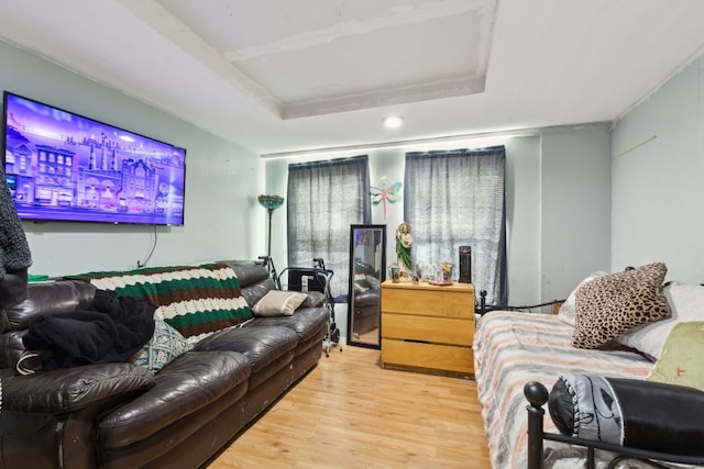 living area with a raised ceiling and wood finished floors