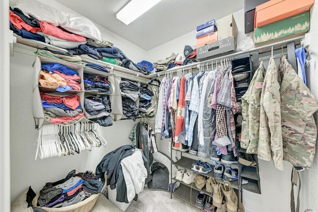 spacious closet with carpet flooring