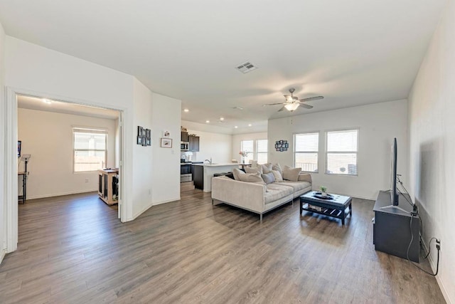 living area featuring visible vents, a healthy amount of sunlight, ceiling fan, and wood finished floors