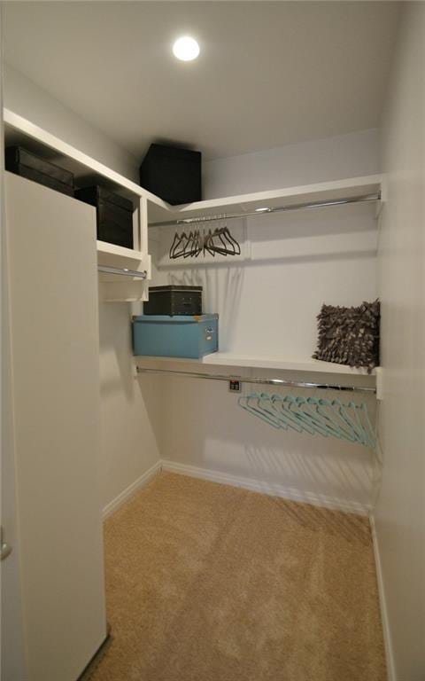 spacious closet featuring carpet