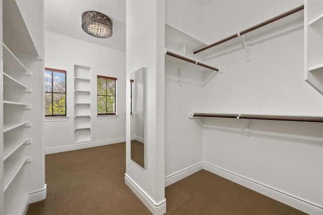 spacious closet featuring dark colored carpet