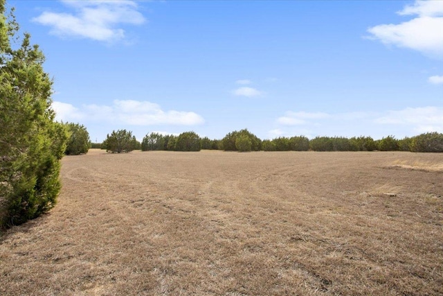 view of local wilderness featuring a rural view