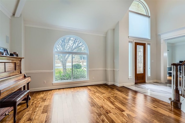 4514 Harvey Penick Dr, Round Rock, TX 78664 - foyer entrance with healthy amount of natural light, wood finished floors, high vaulted ceiling, and crown molding