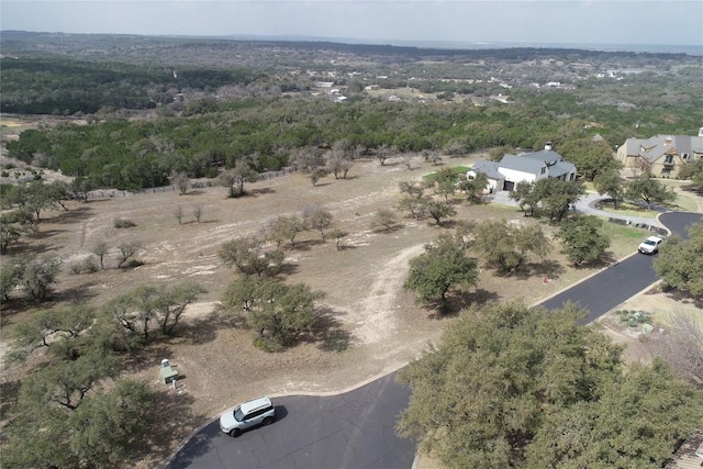205 Hidden Hills Cv, Spicewood, TX 78669 - photo 10
