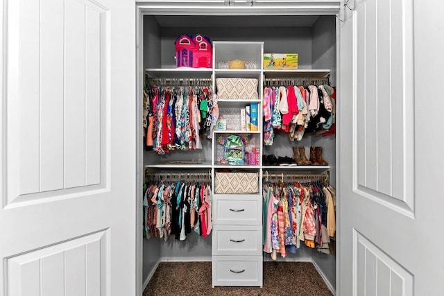 view of closet