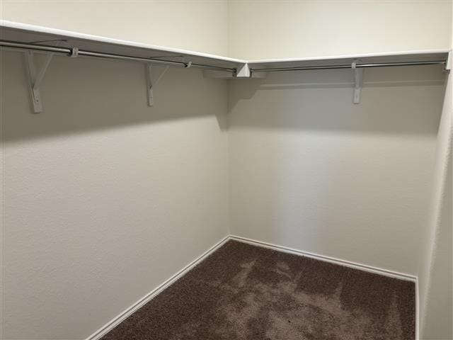 walk in closet with dark colored carpet