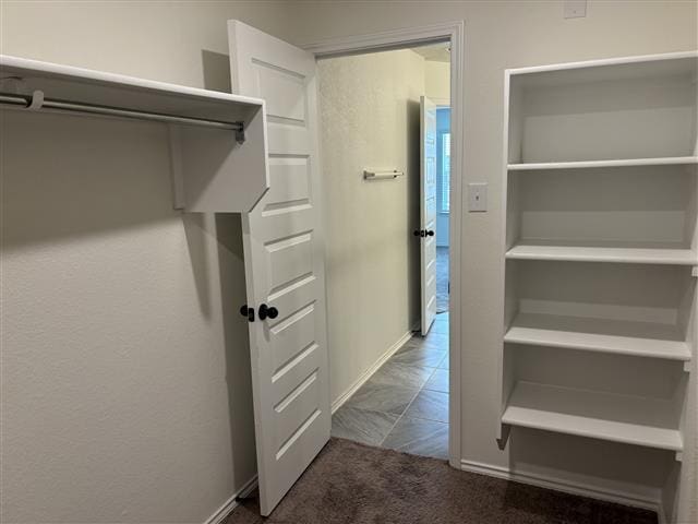 walk in closet with carpet