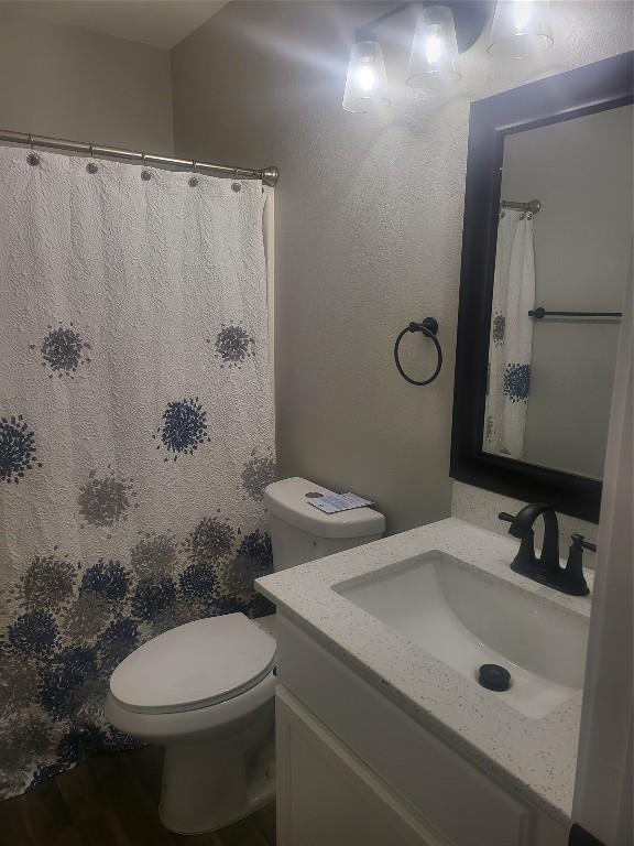 full bathroom with vanity, toilet, and a shower with curtain