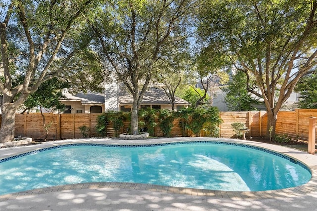 view of pool with a fenced in pool and a fenced backyard