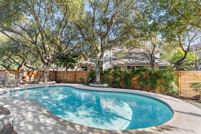 view of pool featuring a fenced in pool, a patio, and a fenced backyard