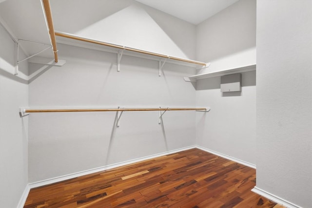 spacious closet with dark wood-style floors