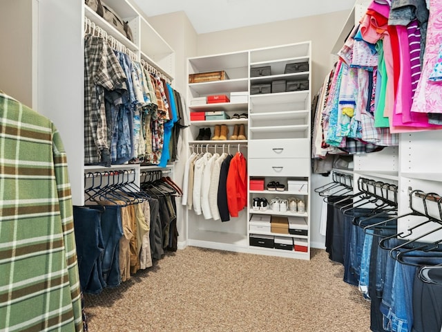 walk in closet featuring carpet flooring