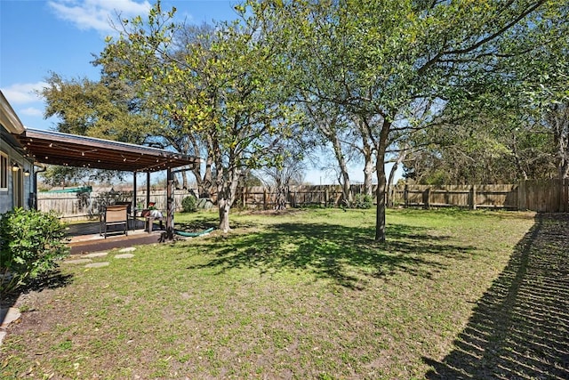 view of yard featuring a fenced backyard and a patio area