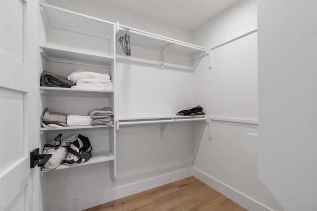 spacious closet featuring light wood-type flooring