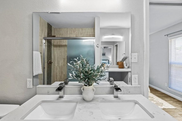 bathroom featuring a sink, double vanity, wood finished floors, and a shower stall