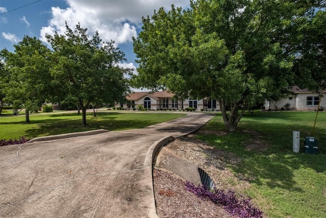 194 Brushy Creek Trl, Hutto, TX 78634 - view of front of property featuring a front lawn and concrete driveway