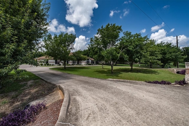 194 Brushy Creek Trl, Hutto, TX 78634 - view of road