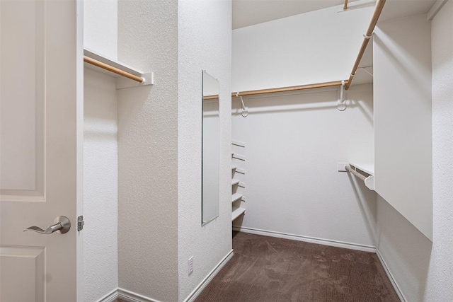 194 Brushy Creek Trl, Hutto, TX 78634 - walk in closet with carpet floors