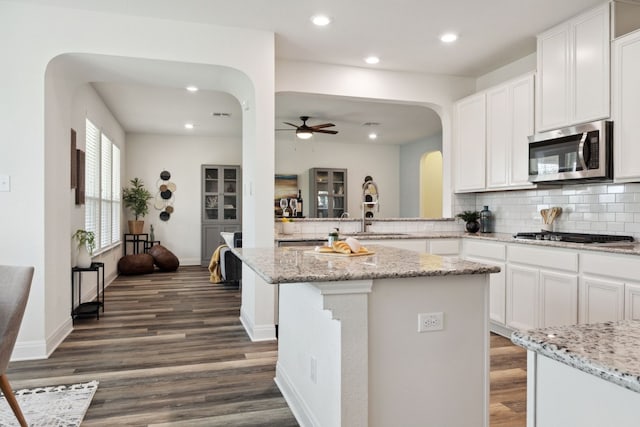 1429 Freer Cv, Leander, TX 78641 - kitchen featuring appliances with stainless steel finishes, arched walkways, tasteful backsplash, a ceiling fan, and recessed lighting