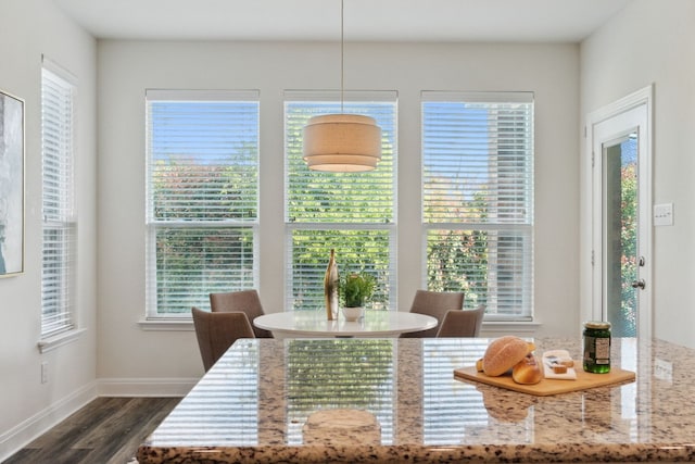 1429 Freer Cv, Leander, TX 78641 - dining room featuring dark wood-style floors and plenty of natural light