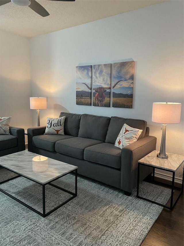 806 W 24th St Unit 210, Austin, TX 78705 - photo 6