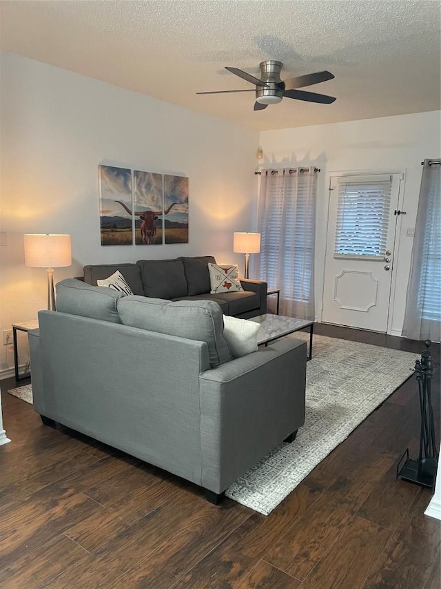806 W 24th St Unit 210, Austin, TX 78705 - photo 8