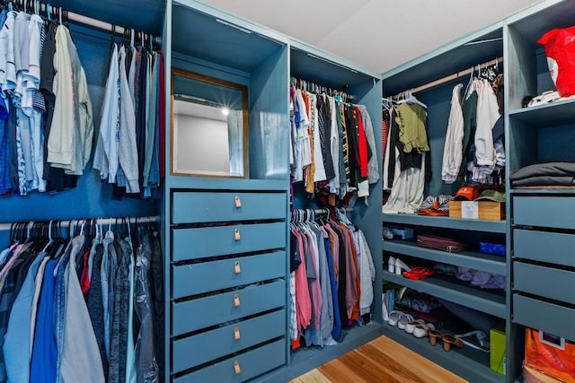 walk in closet featuring wood finished floors