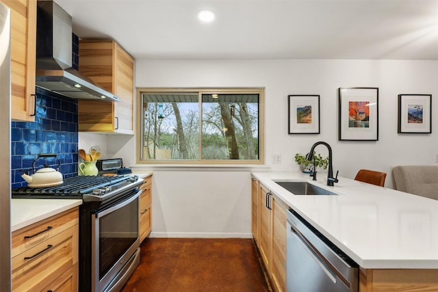 kitchen featuring backsplash, a peninsula, stainless steel appliances, wall chimney exhaust hood, and a sink