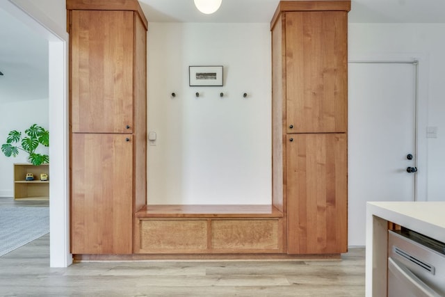 kitchen featuring dishwashing machine, light wood-style flooring, and light countertops