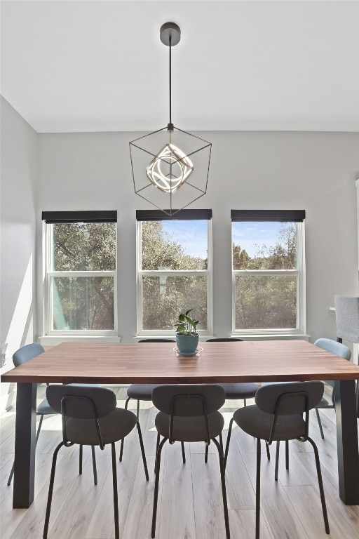 dining space featuring light wood finished floors and a wealth of natural light