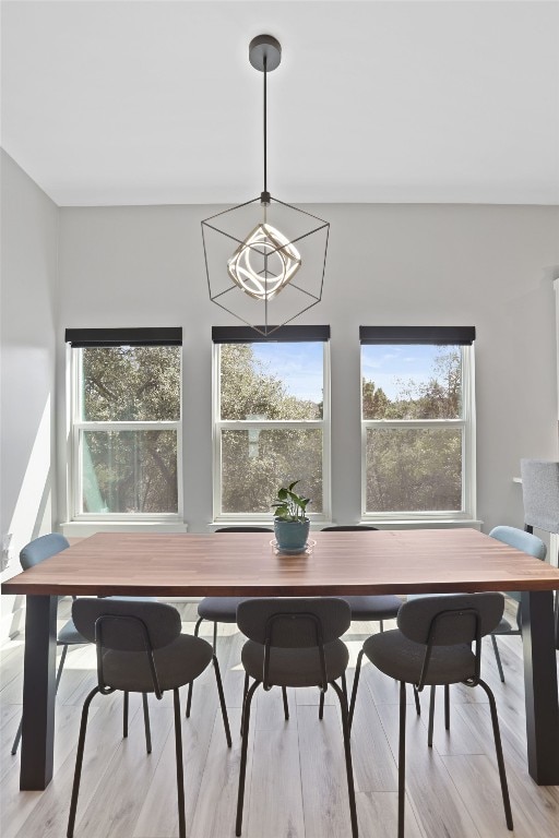 1503 Sharps Rd, Austin, TX 78734 - dining room with plenty of natural light and light wood-type flooring