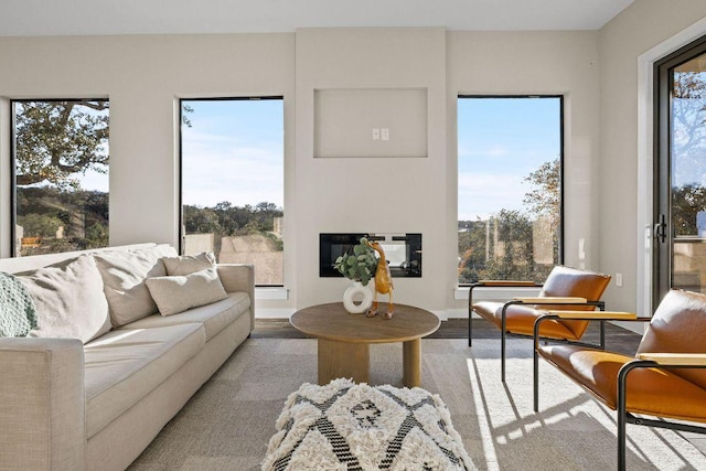 living area with a glass covered fireplace and wood finished floors