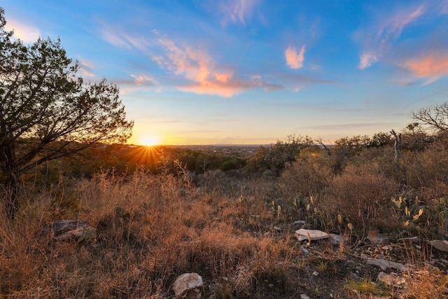 view of nature at dusk