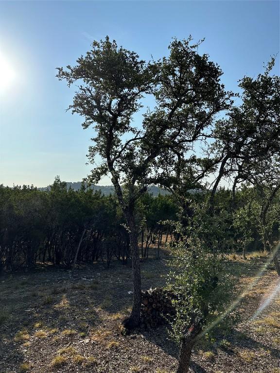 12333A Ranch Rd 12 Unit 1, Wimberley, TX 78676
