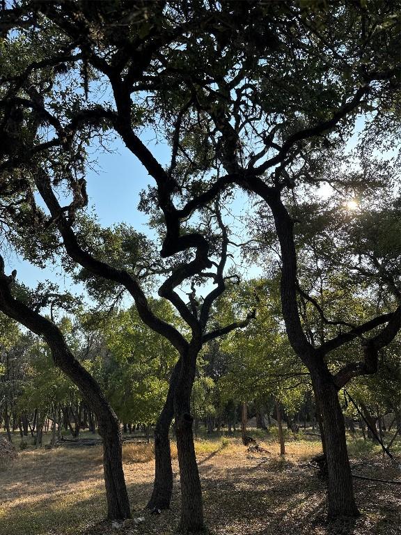 12333A Ranch Rd 12 Unit 1, Wimberley, TX 78676